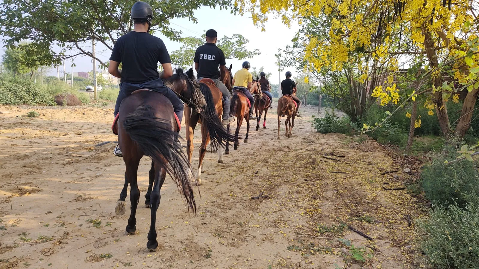 Horse and rider on the trail at FHRC, near Faridabad.
