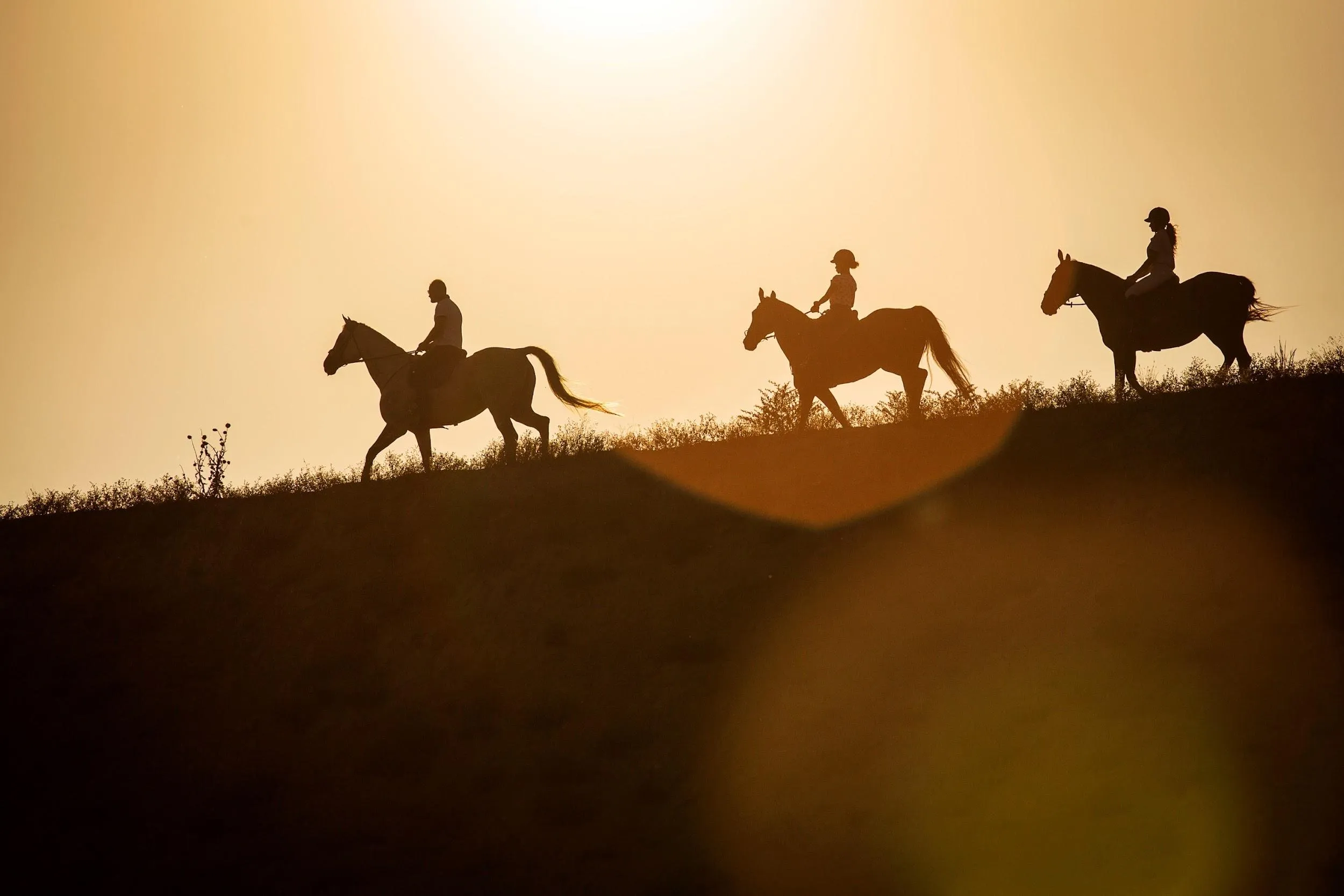 Three riders silhouetted against a golden-hour sky on a ridge in Faridabad.