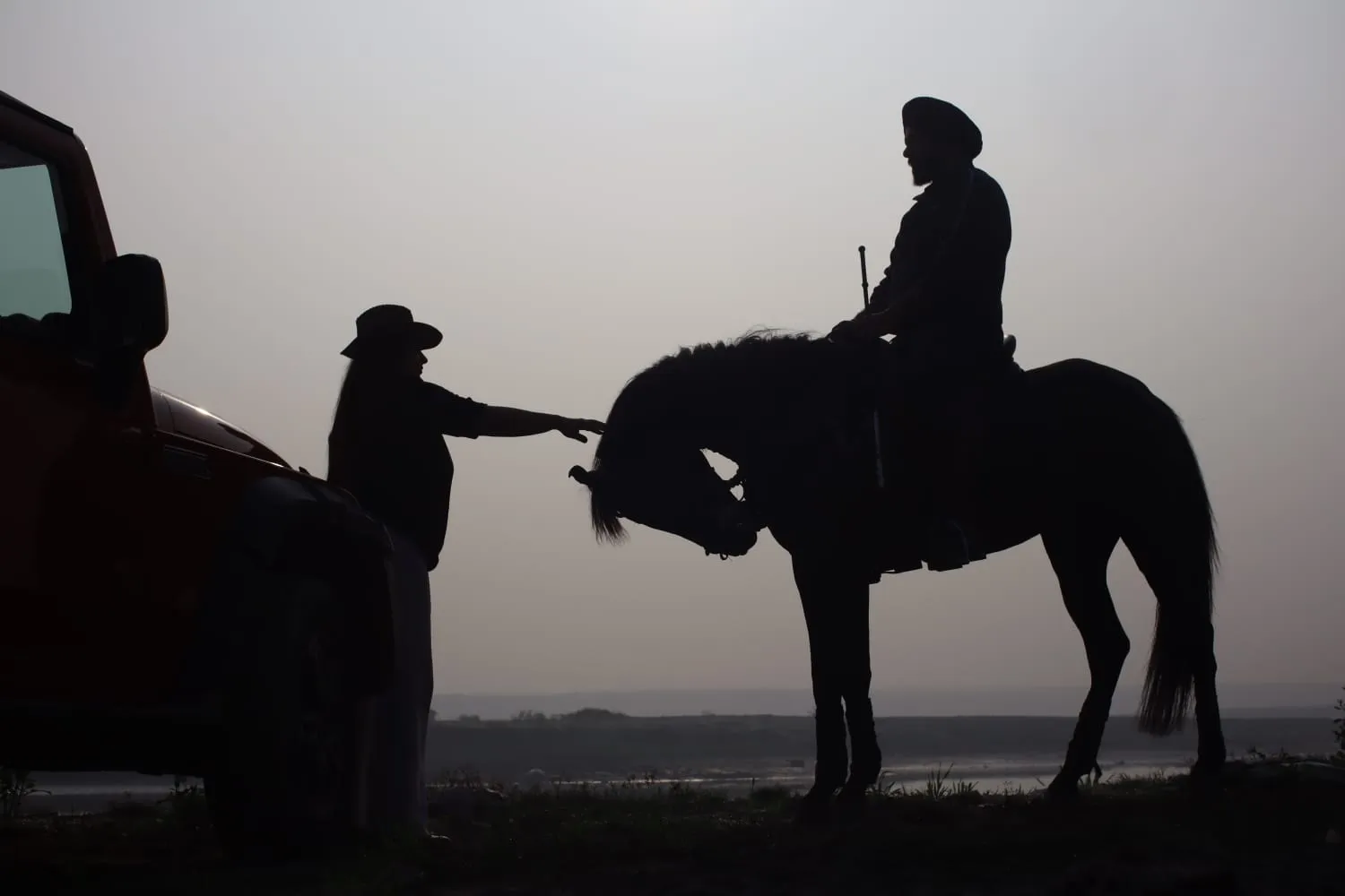 A silhouetted moment of a person reaching out to a horse at sunset.