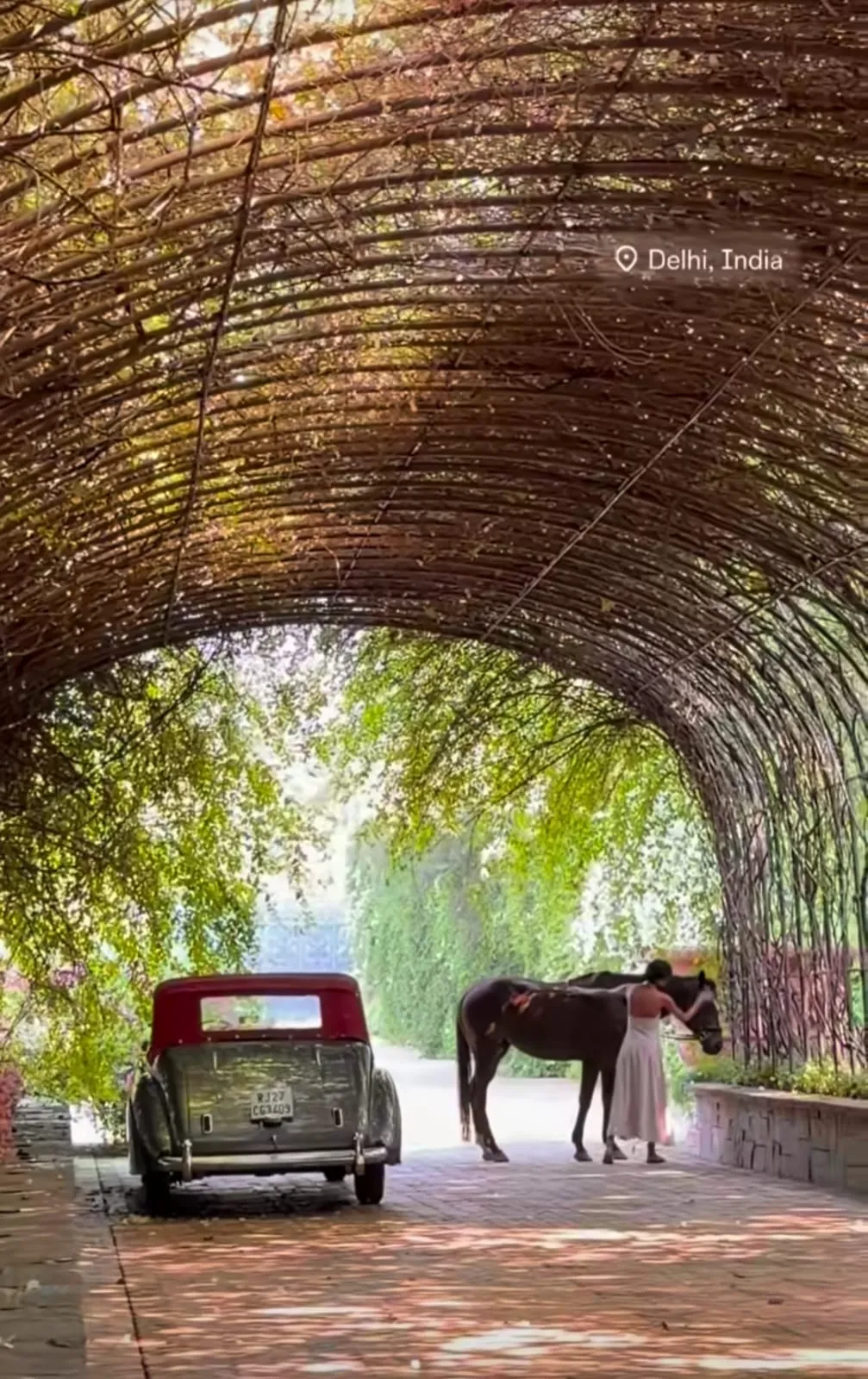 A vine-covered archway with a vintage car at the venue.