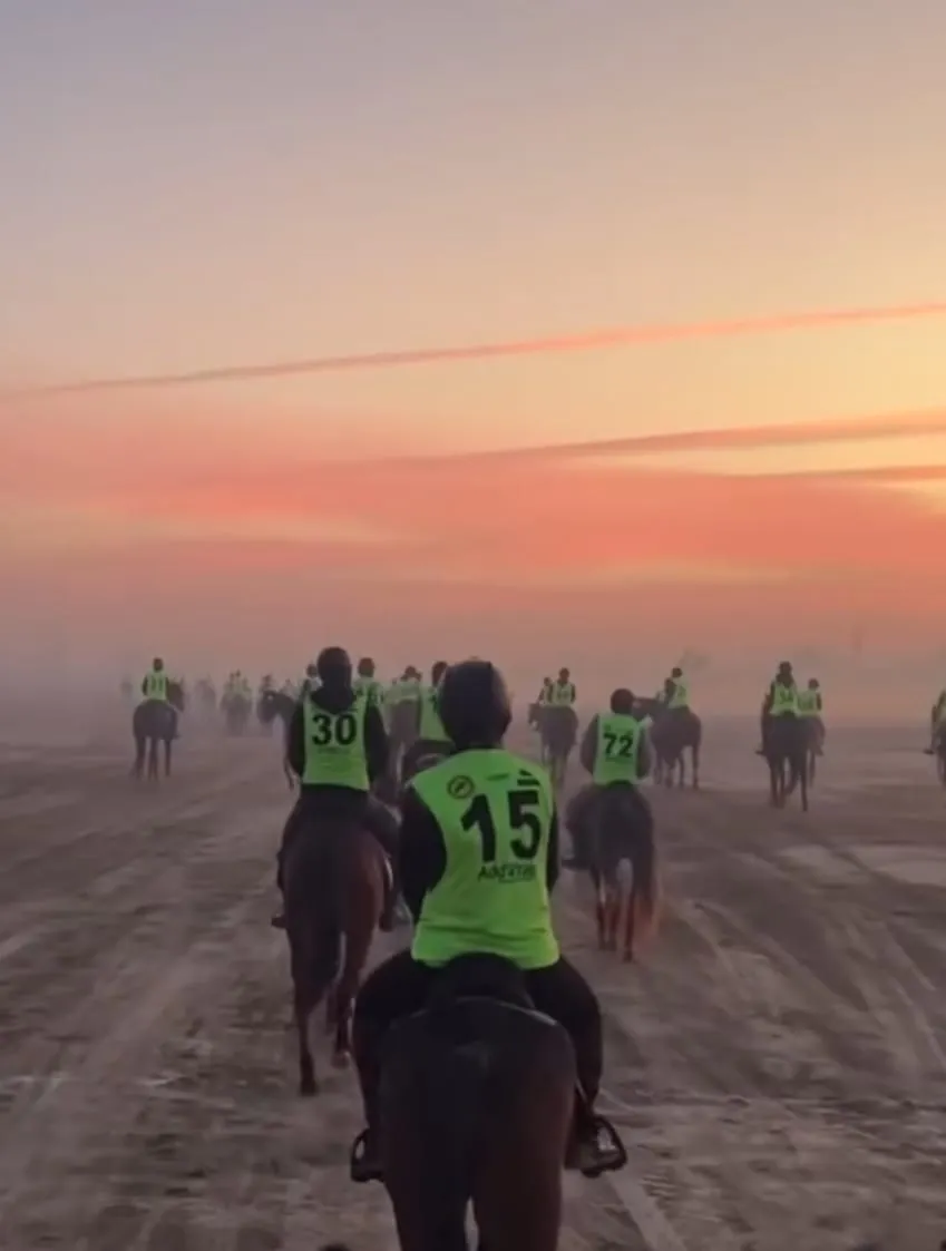 A pack of endurance riders heading out at sunrise across open ground.