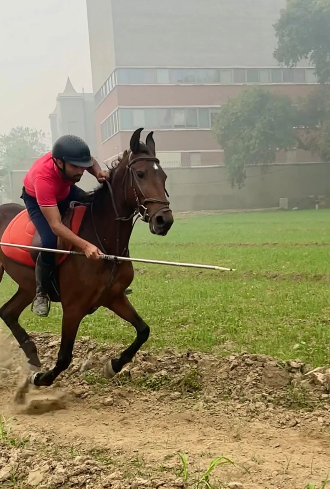 A horse and rider competing in tent pegging, mid-gallop with a lance.
