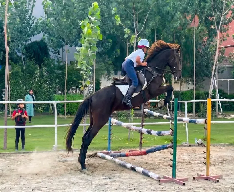An advanced rider clearing a show-jumping fence on a black stallion at FHRC, Faridabad.