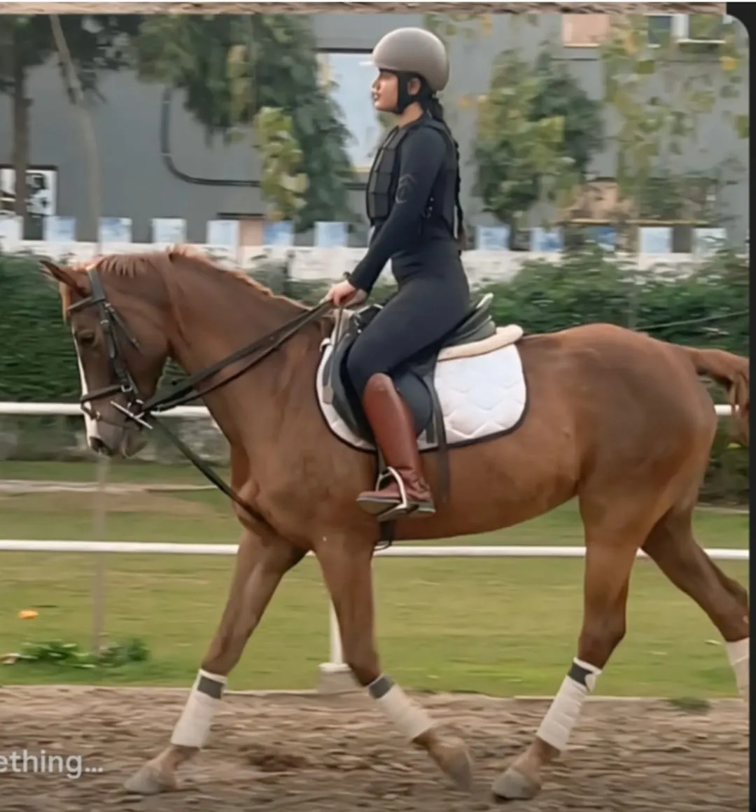 An intermediate rider in body protector posting the trot on a chestnut horse in the FHRC arena, Faridabad.